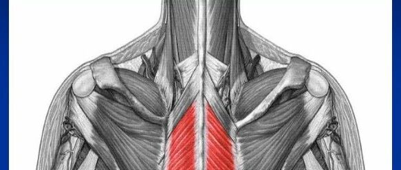 肩周炎精细诊断及治疗点(货很干)
