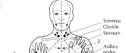 优秀治疗师必须掌握的手法——淋巴回流术