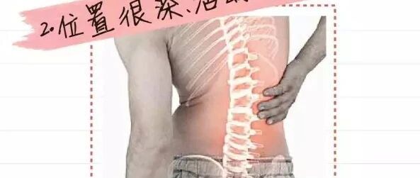 腰酸背痛，其实自己就能治（专家秘传）