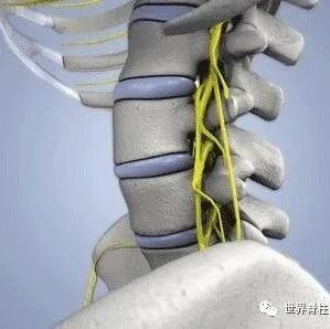 颈椎病竟能引发心绞痛？脖子造成的心脏病，你听说过没有？