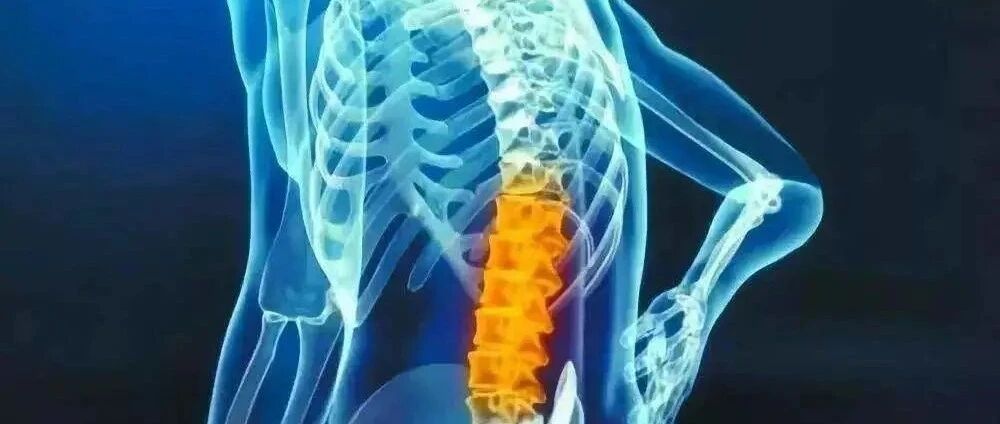 年轻时腰椎间盘突出，骨科医生用了7个窍门，20年腰伤没再发作!