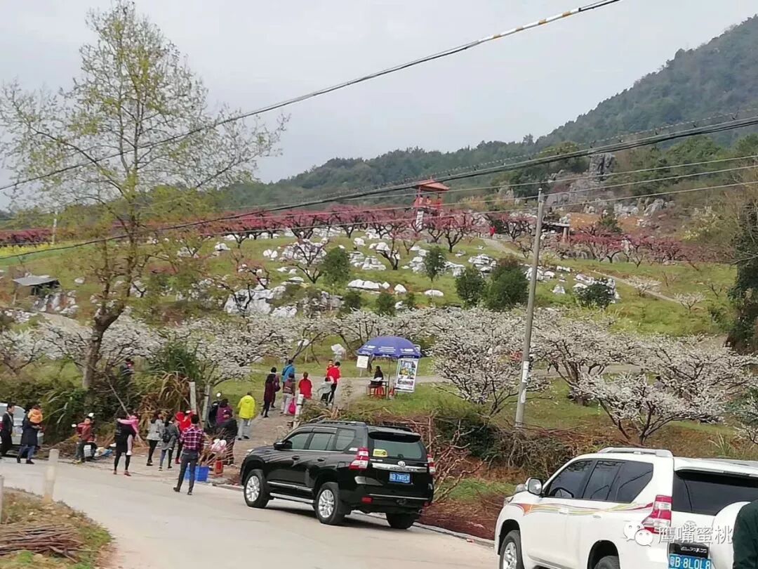 640?wx_fmt=jpeg&tp=webp&wxfrom=5&wx_lazy=1&wx_co=1