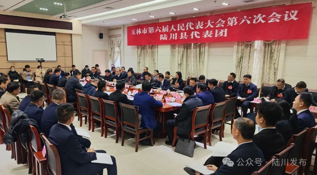 陆川县代表团认真讨论审议市人民政府工作报告吕剑枫到会听取意见建议