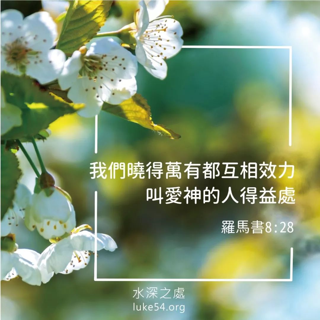 每日祷告 我们晓得万有都互相效力 水深之处 圣经福音网 微信公众号文章阅读 Wemp