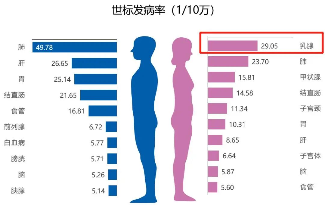 男性为肺癌,女性为乳腺癌我国整体癌症粗发病率仍持续上升中国缎栽