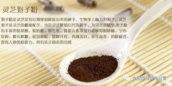 急需服用破壁灵芝孢子粉的15类人