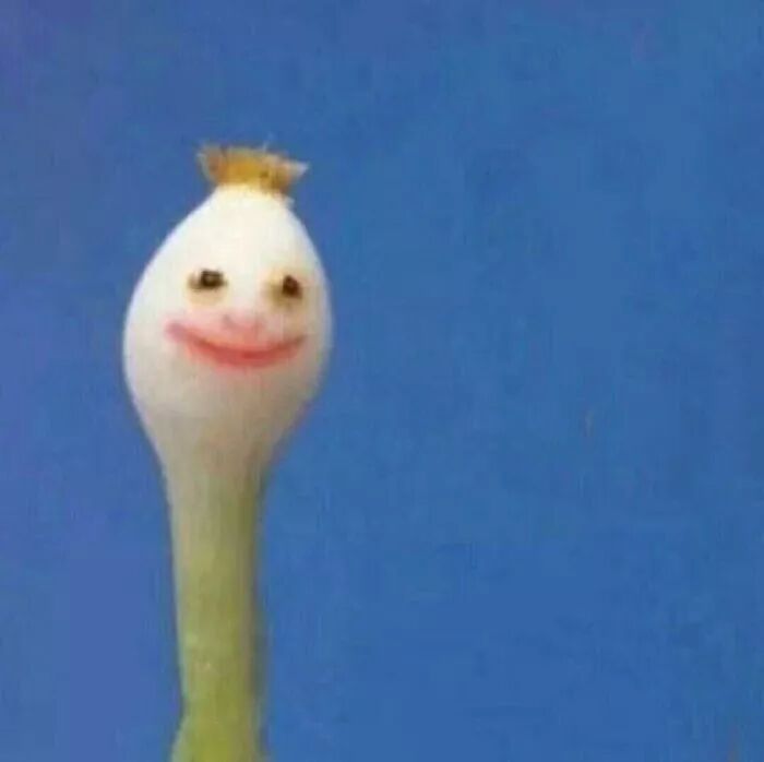 单身狗最开心的一件事是什么？