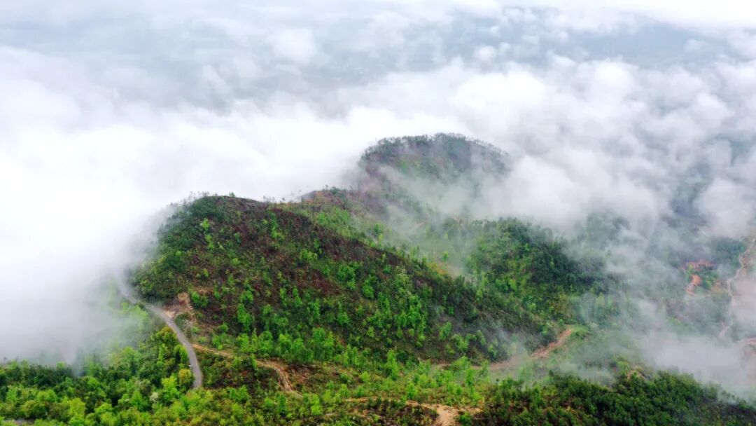兴国:"羊山"吐雾 风景如画 | 兴国县信息公开