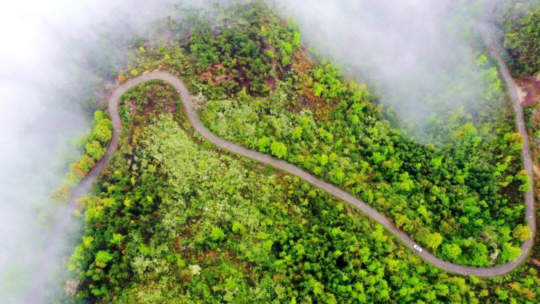 兴国:"羊山"吐雾 风景如画 | 兴国县信息公开