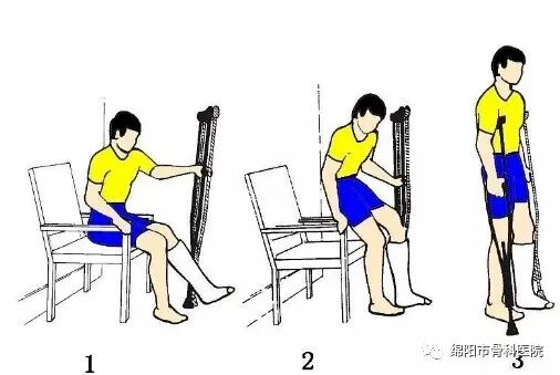 腋下拐杖什么牌子好下肢骨折患者该如何正确使用拐杖？_https://www.jmylbn.com_新闻资讯_第9张