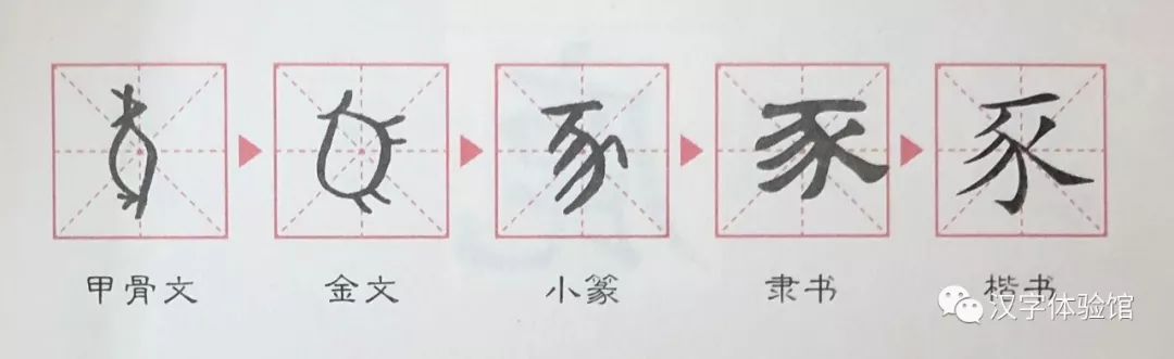 除了十二生肖 還有哪些動物漢字值得一看 漢字體驗館 微文庫