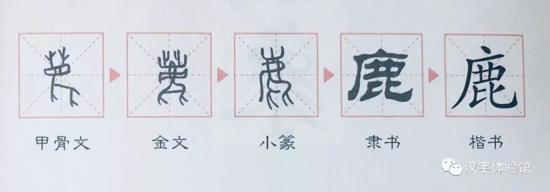 動物 漢字