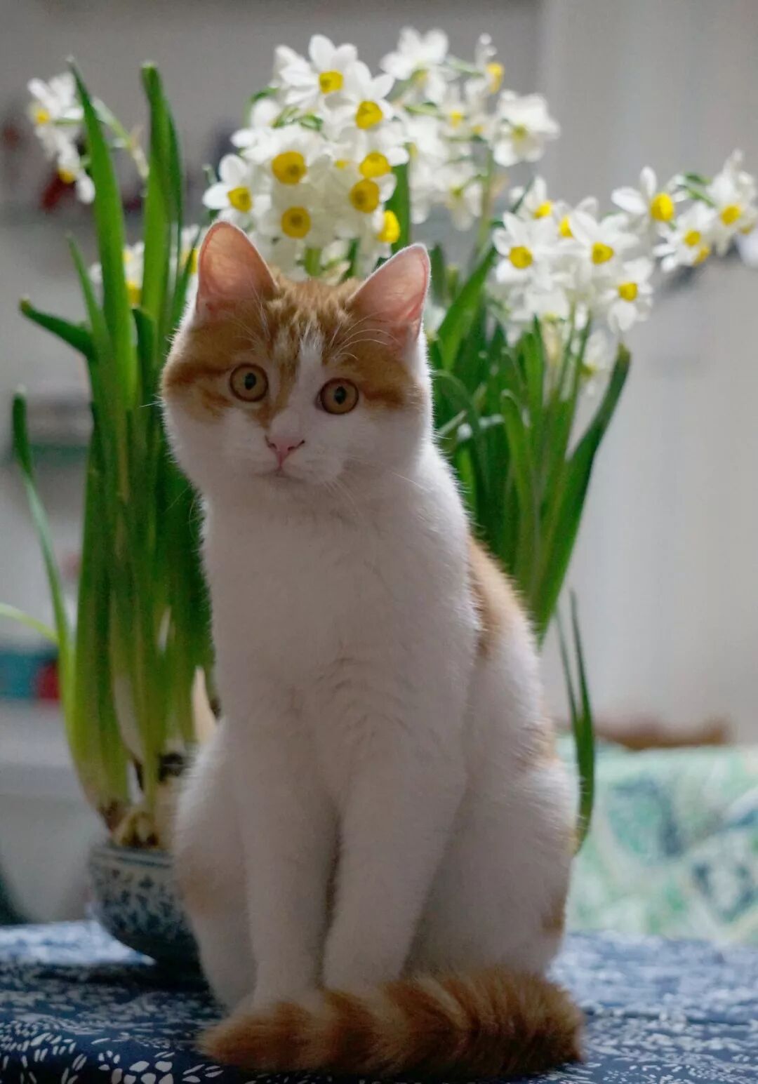 付愈的水彩花卉 让人沉醉 798手绘网 微文库