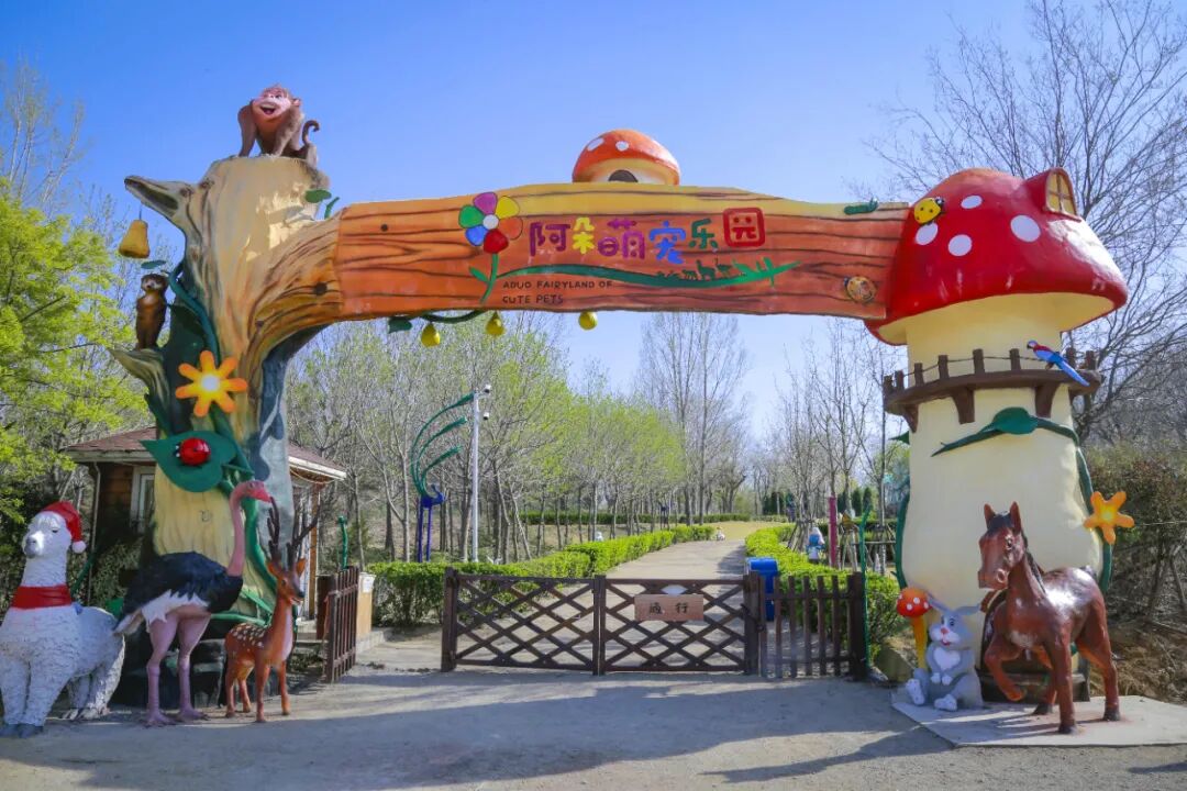 神奇动物在哪里阿朵萌宠乐园告诉你