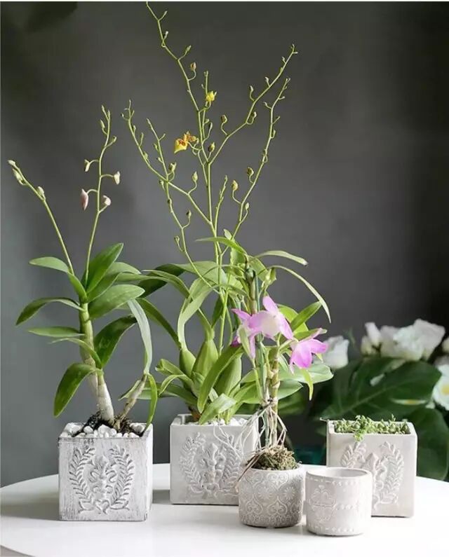 房子是租的,可生活是自己的,这些出租屋神器真的帅呆了!