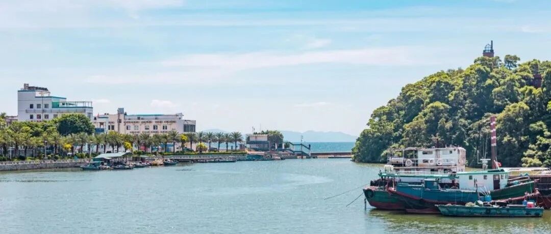 免费开放，无需预约！深圳这个看海地小众又好看！