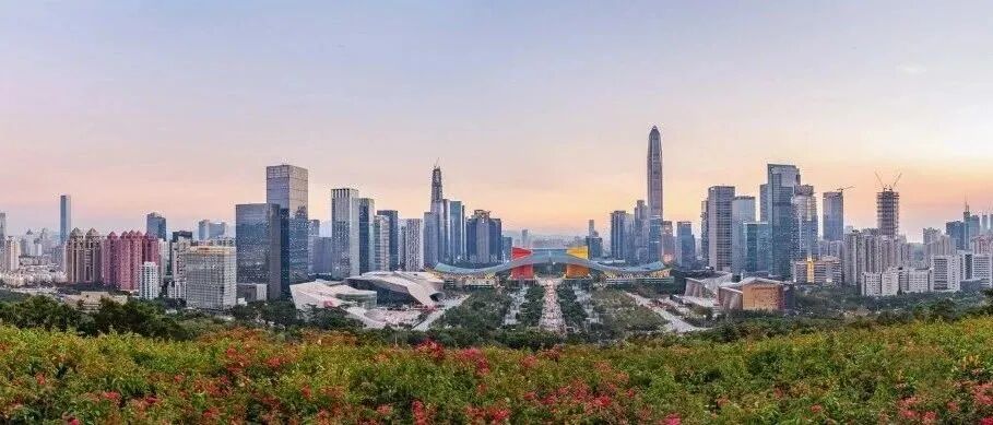 5折！免费送上门！深圳人千万别错过这场周年专属优惠，仅剩3天！