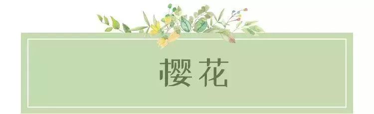 低至19.9元！大鵬百花節、野生動物園、歡樂燈會...大特價！不愁沒地方玩了！ 未分類 第9張