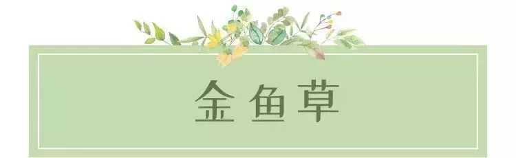 低至19.9元！大鵬百花節、野生動物園、歡樂燈會...大特價！不愁沒地方玩了！ 旅遊 第25張