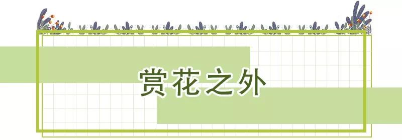 花團錦簇！深圳又一新景點開放！關鍵是人少還免費！ 旅遊 第27張