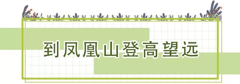 花團錦簇！深圳又一新景點開放！關鍵是人少還免費！ 旅遊 第35張