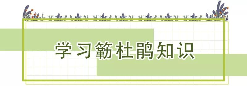 花團錦簇！深圳又一新景點開放！關鍵是人少還免費！ 旅遊 第10張