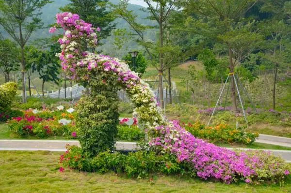 花團錦簇！深圳又一新景點開放！關鍵是人少還免費！ 旅遊 第24張