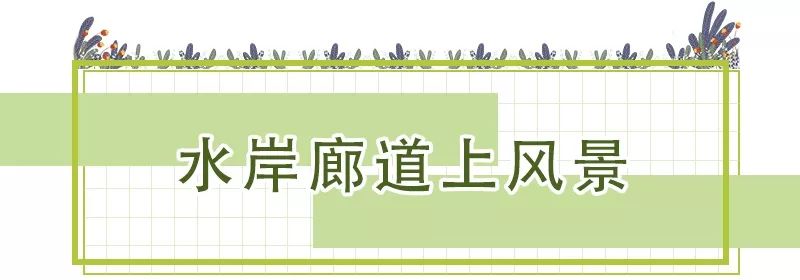 花團錦簇！深圳又一新景點開放！關鍵是人少還免費！ 旅遊 第15張