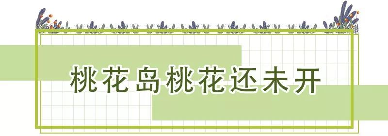 花團錦簇！深圳又一新景點開放！關鍵是人少還免費！ 旅遊 第31張