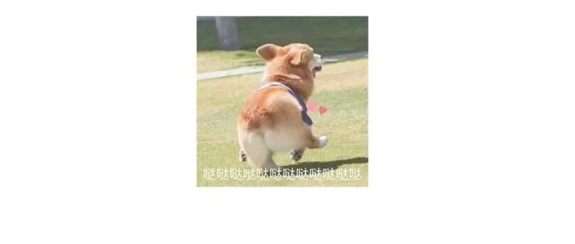 芒果台文案，好浪漫！