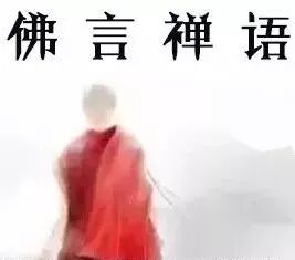 17种动物怀孕期间的X光照片,乍看之下太惊悚了!