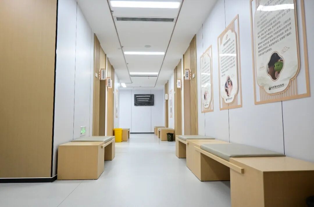 中医熨烫怎么中医传承系列｜县中医医院治未病中心_https://www.jmylbn.com_新闻资讯_第12张