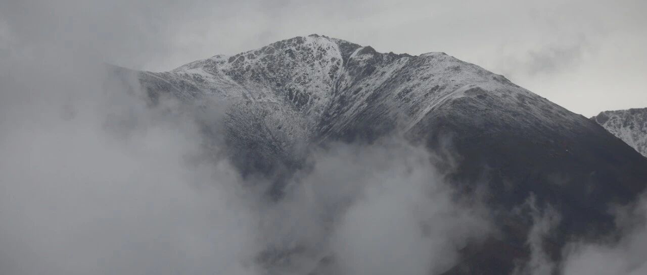 水暖䴙䴘争相渡，溪浅彩鹬娉婷立丨秘境寻踪
