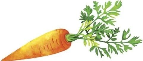 有机肥会导致摄入抗生素抗性基因吗？