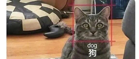 扎心了，机器都比我会学丨流光E彩