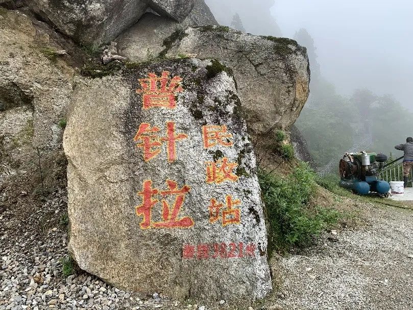 喜馬南麓——日喀則調查丨尋找青藏高原的昆蟲丨青藏科考 旅遊 第23張