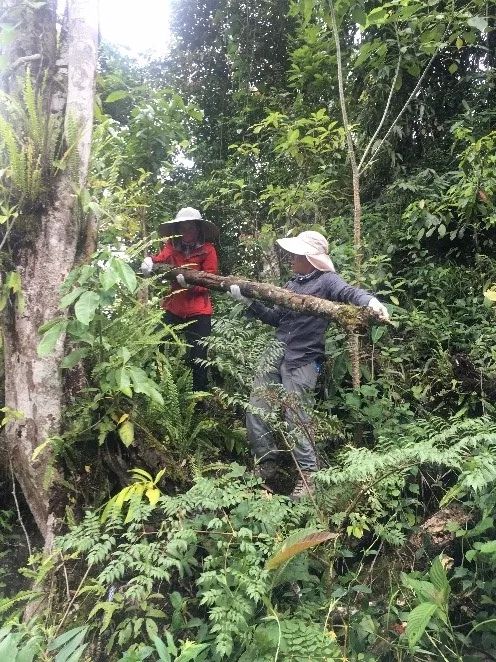 走進「西藏江南」丨尋找青藏高原的昆蟲丨青藏科考 旅遊 第39張