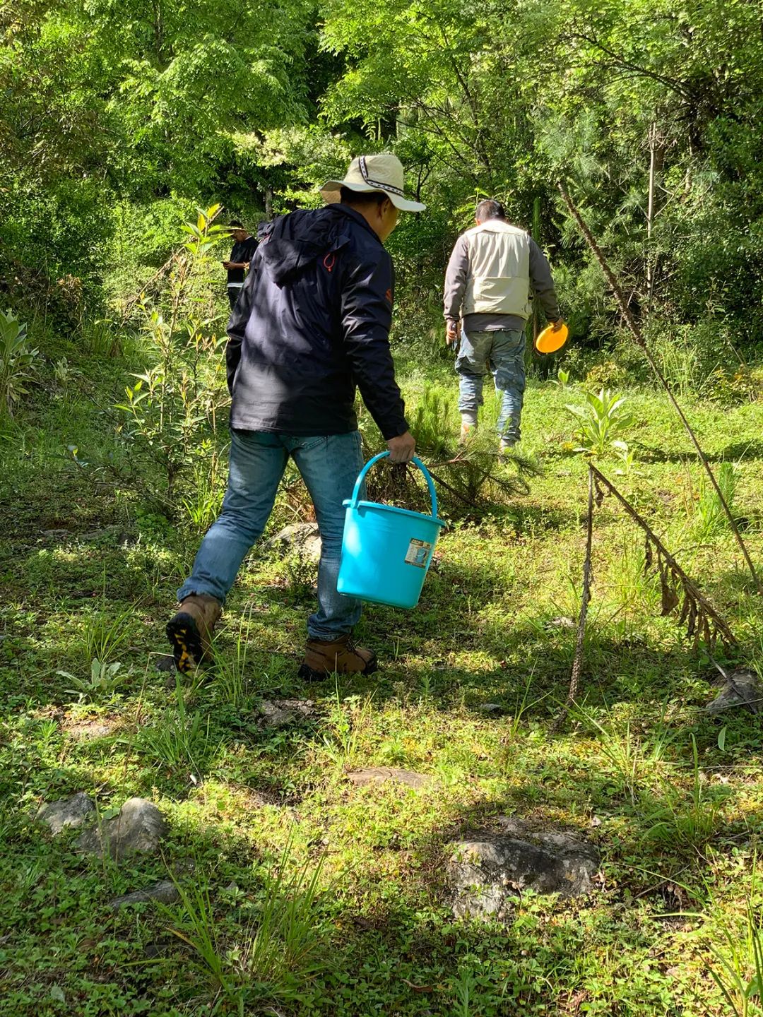 走進「西藏江南」丨尋找青藏高原的昆蟲丨青藏科考 旅遊 第8張