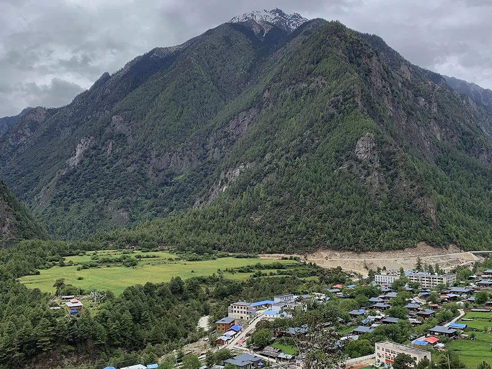 走進「西藏江南」丨尋找青藏高原的昆蟲丨青藏科考 旅遊 第2張