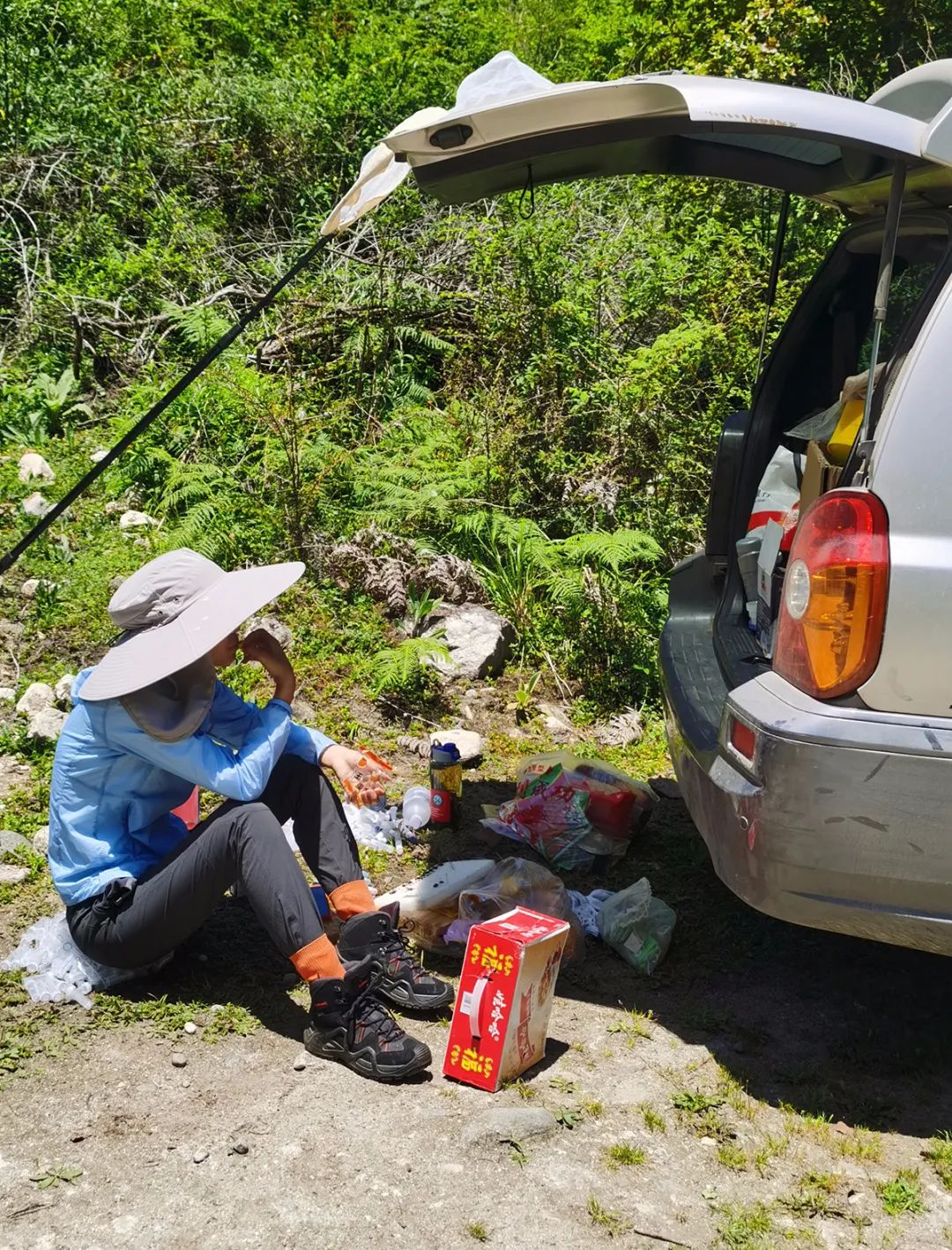 走進「西藏江南」丨尋找青藏高原的昆蟲丨青藏科考 旅遊 第11張