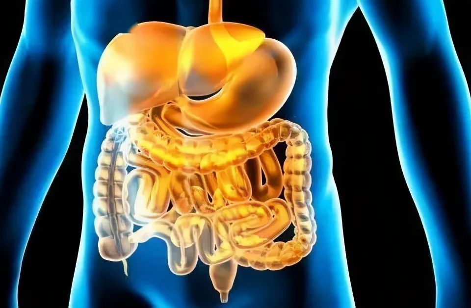 阑尾炎左边疼,右边疼?哪哪都疼,还是都不疼?