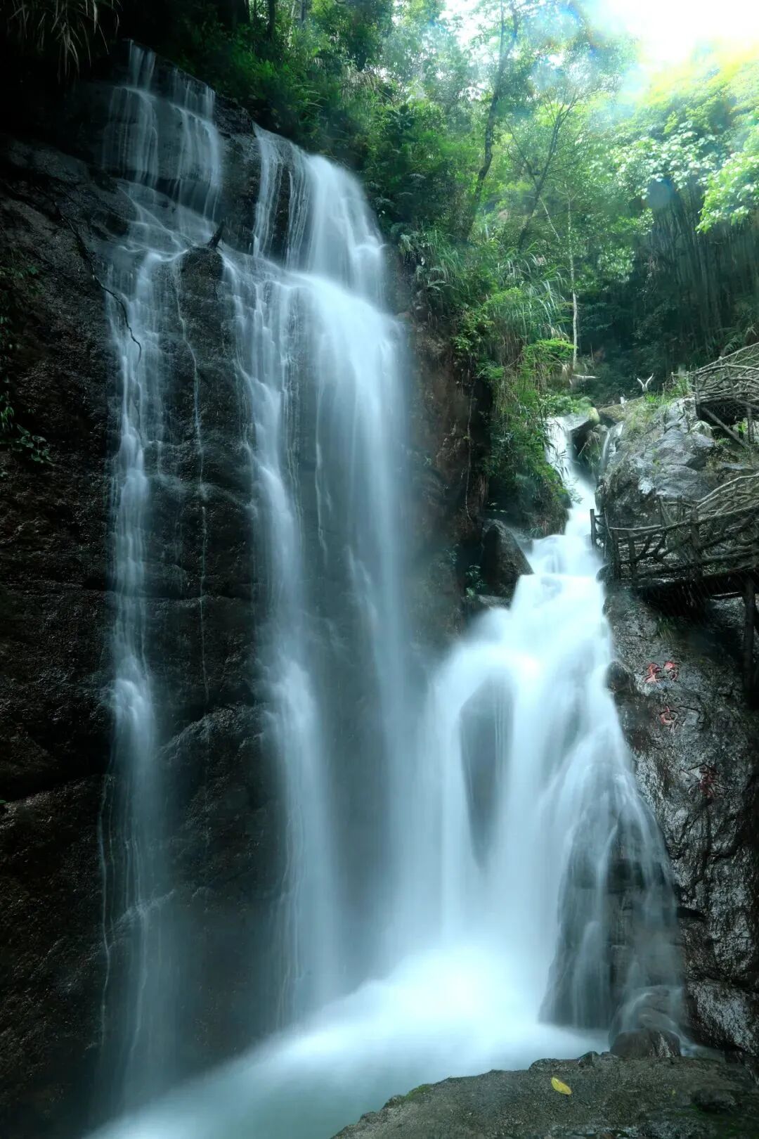 你可以穿梭于百亩竹海森林当中,听微风吹过,竹叶沙沙作响.