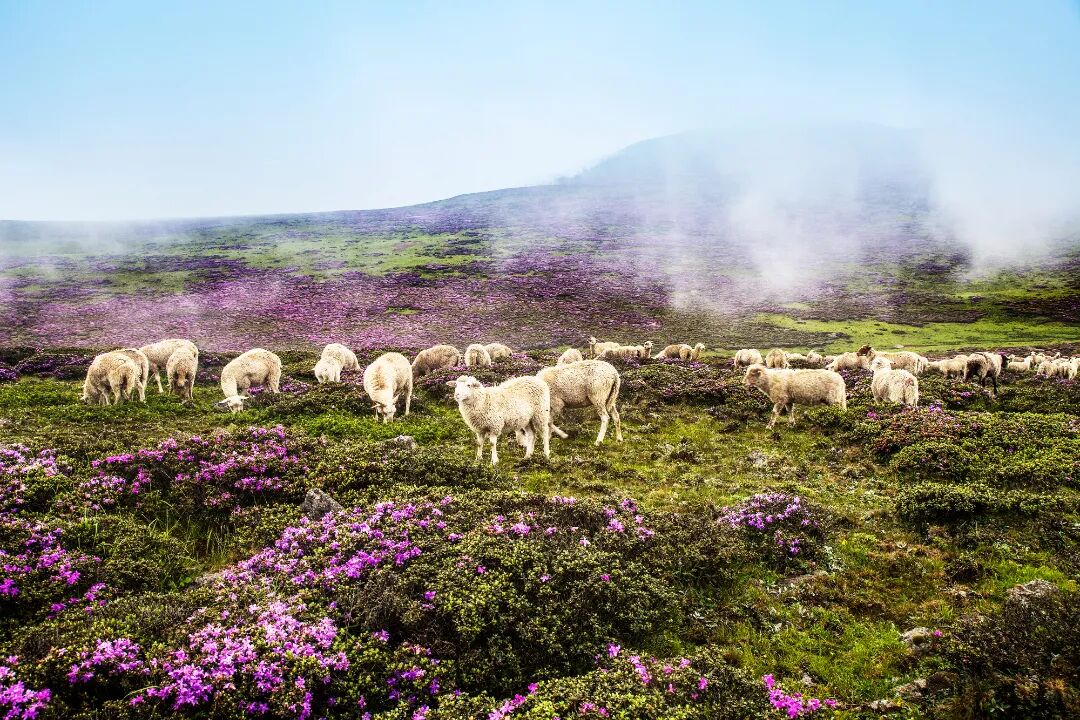四川马边:来马边,别只知道吃抄手!
