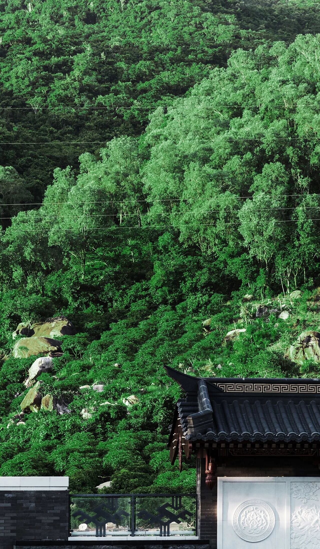 新中式 · 传统复兴，古韵新意练时空