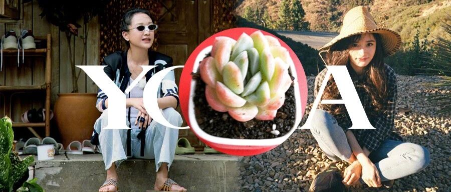 大明星的生活都有一股「退休味」