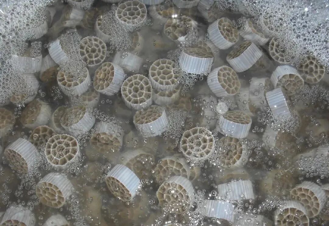 污水处理工艺&mdash;&mdash;MBBR的工作原理、应用及特点