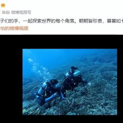 章子怡带儿女过七夕,和醒醒手牵手潜水,俩个孩子跟着亲妈都很开心