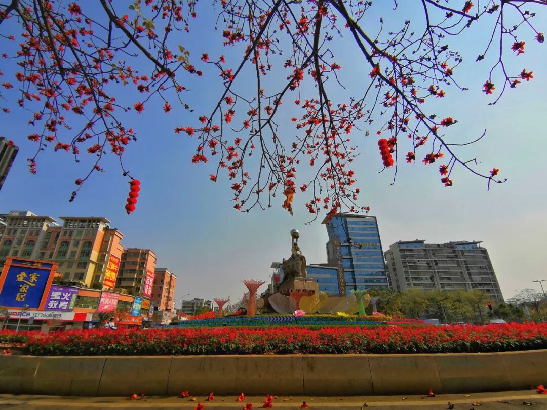 带你寻找江门新会的春日时光赏花游玩美食攻略