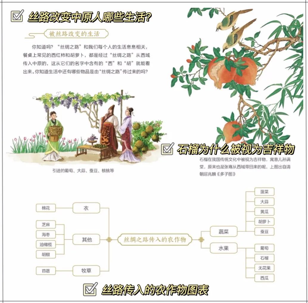 白岩松公开育儿秘诀 10岁左右 哪怕 逼 孩子也要做好这件事 柠檬资讯