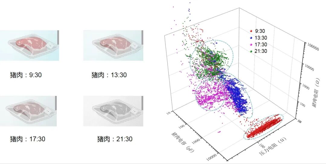 肉类的新鲜度检测.png